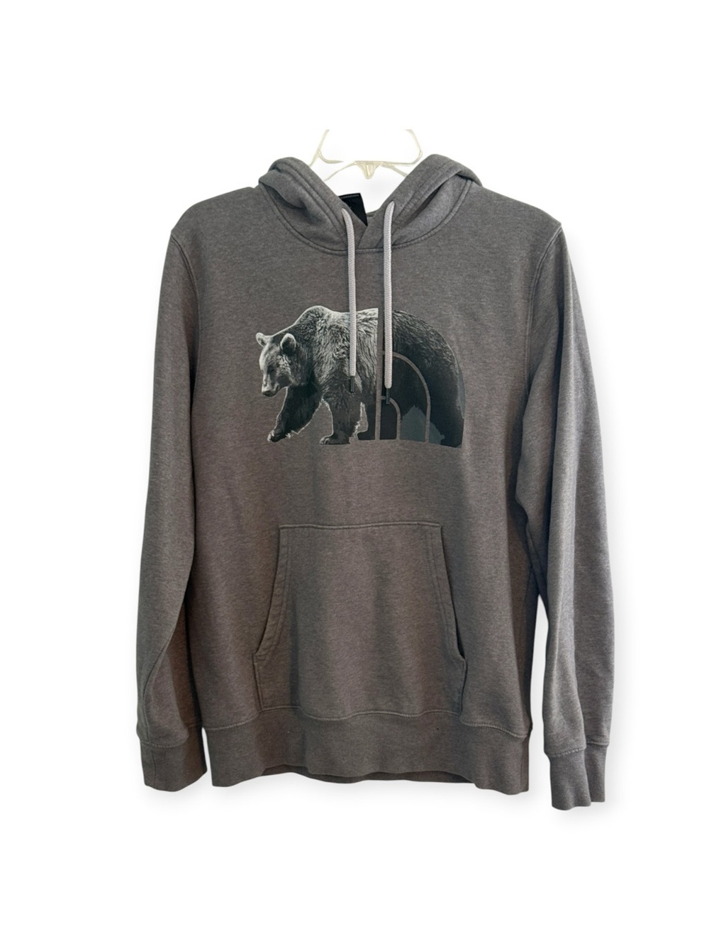 The North Face Mens Bear Mountainscape Hoodie Sweatshirt Pullover Size M Fleece